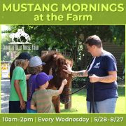 Corolla Wild Horse Fund Mustang Mornings event