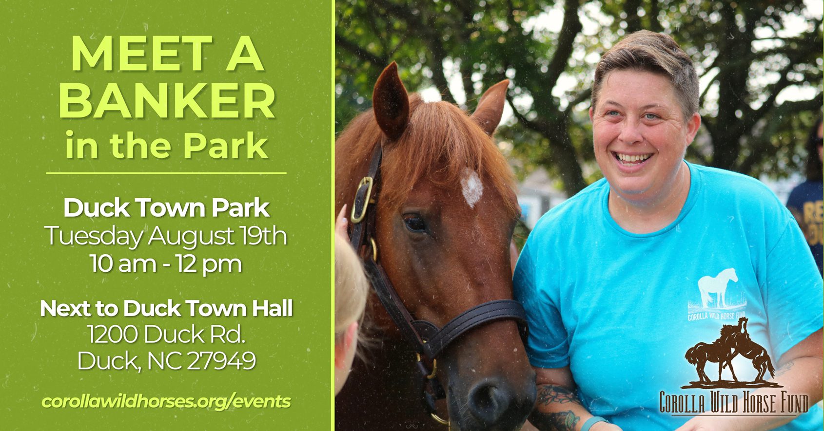 CWHF's Meet a Banker Horse in Duck NC